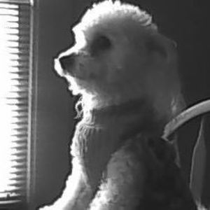 Meet your Posher, Sally